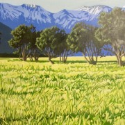 Kaikoura 2