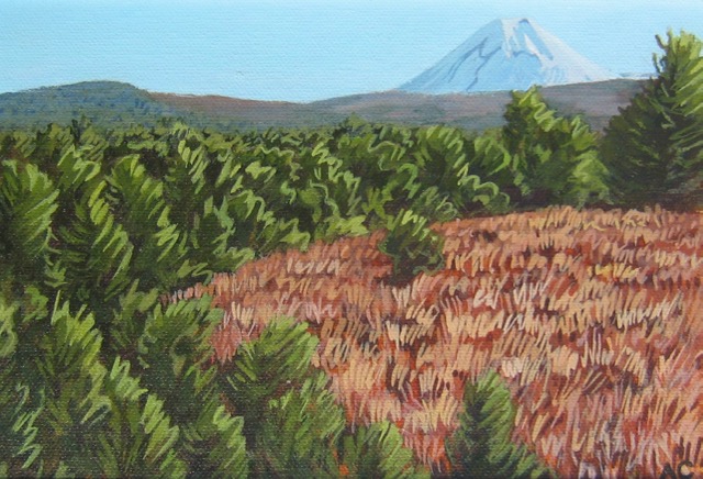 Ngaurohoe 3